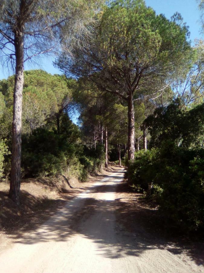 Appartamento Vacanze Sardegna Siniscola Exterior photo
